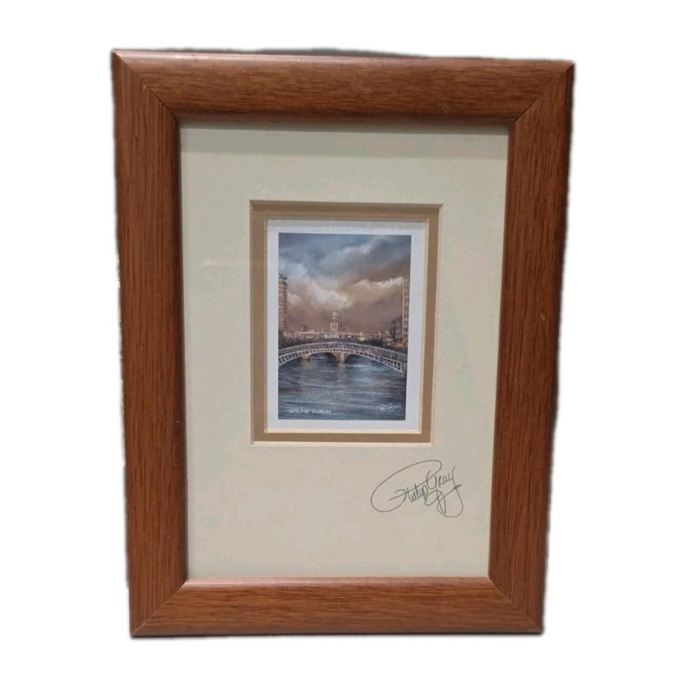 Philip Gray Hand-Signed "Nightfall, Dublin" Framed Mini Art Print Art‎ Work NWOT